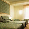 Hotel Terme President 